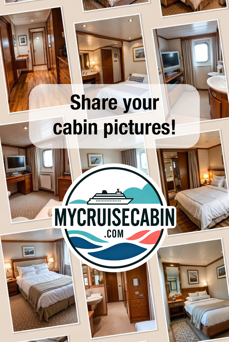 How Your Cruise Cabin Photos Are Powering Our Everyday Growth at MyCruiseCabin.com
