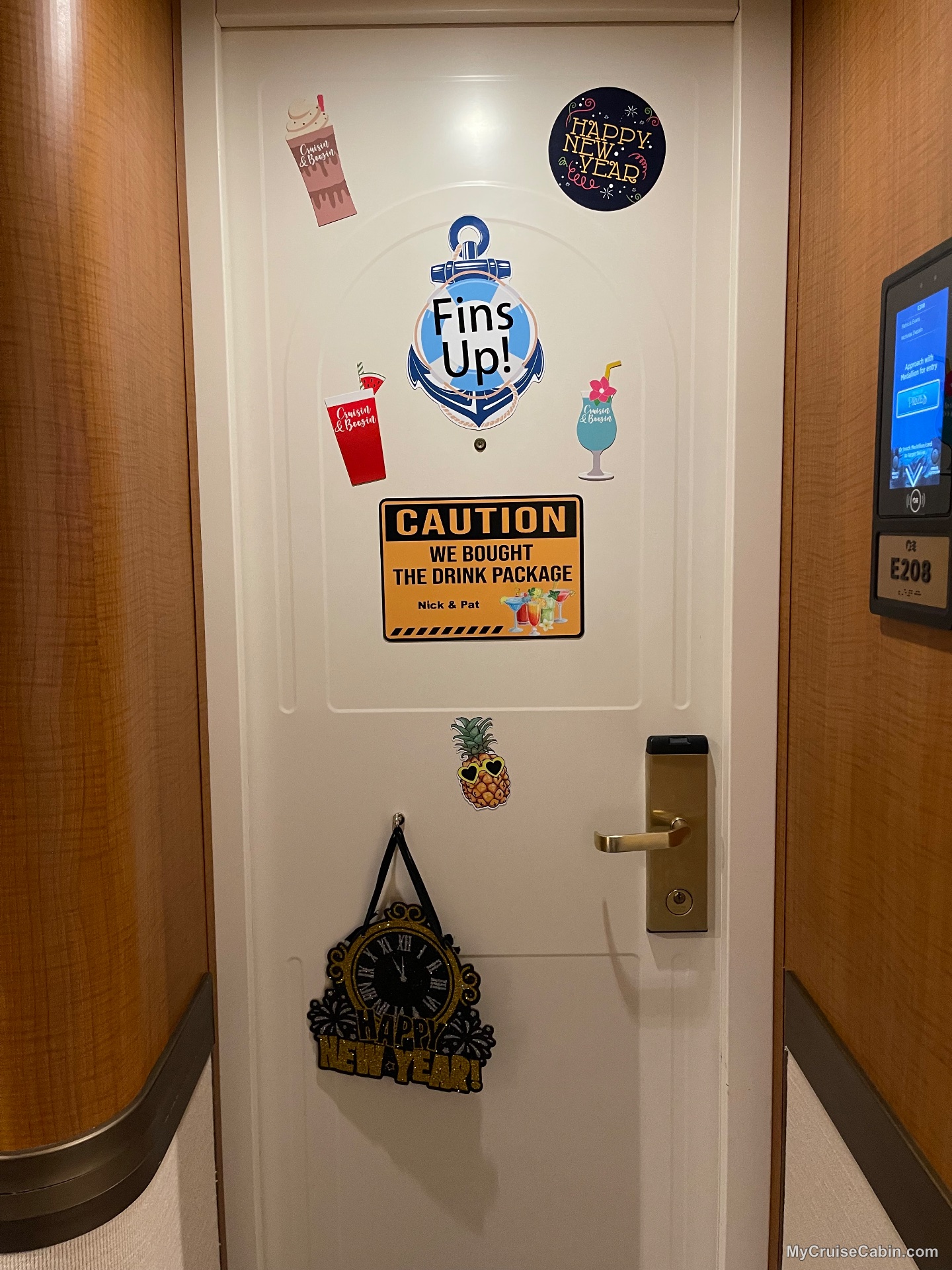 Regal Princess Cabin E208 - Door