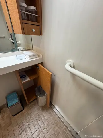 Cabin 12166 on Oasis of the Seas