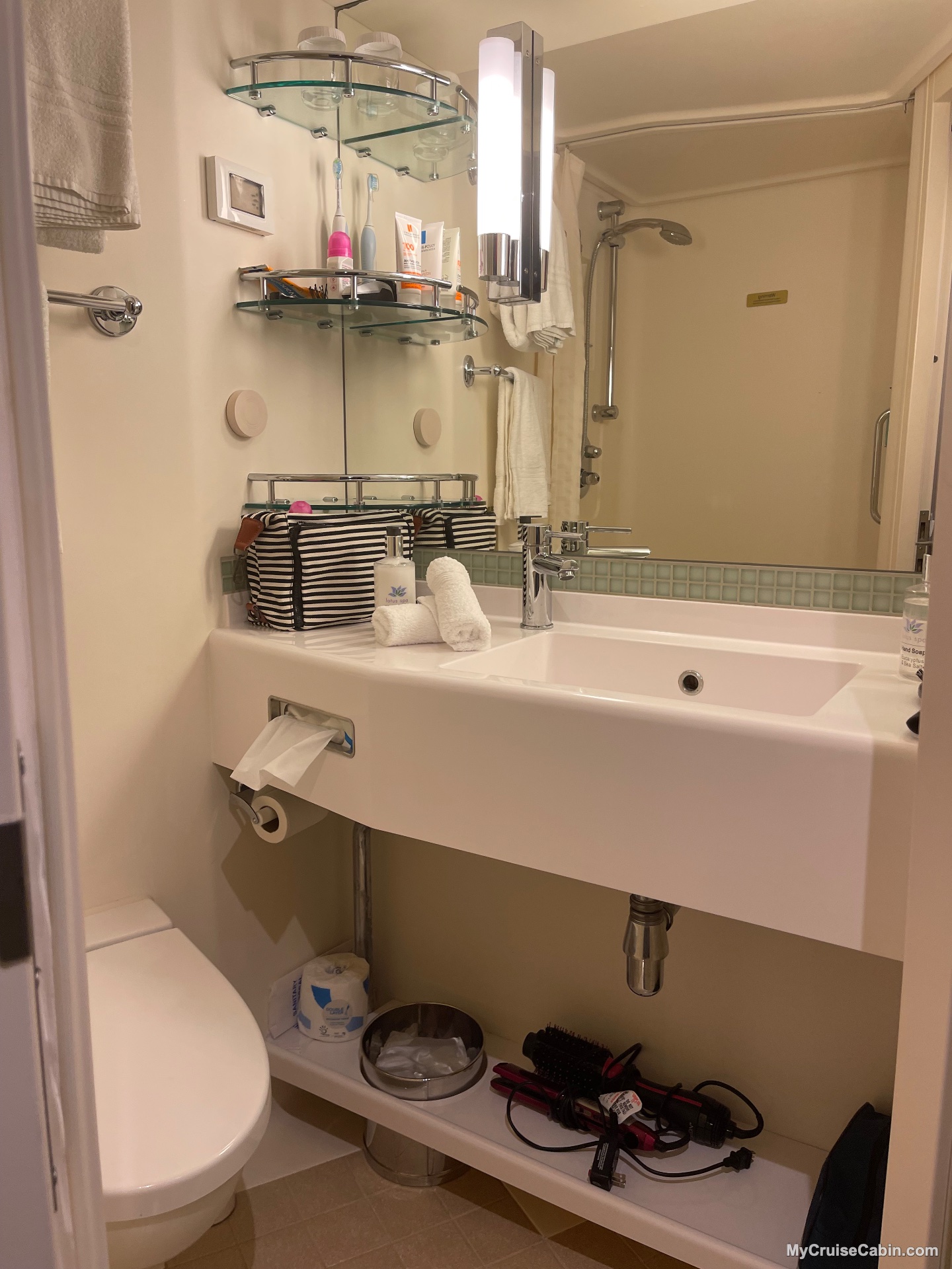 Cabin C509 on Regal Princess