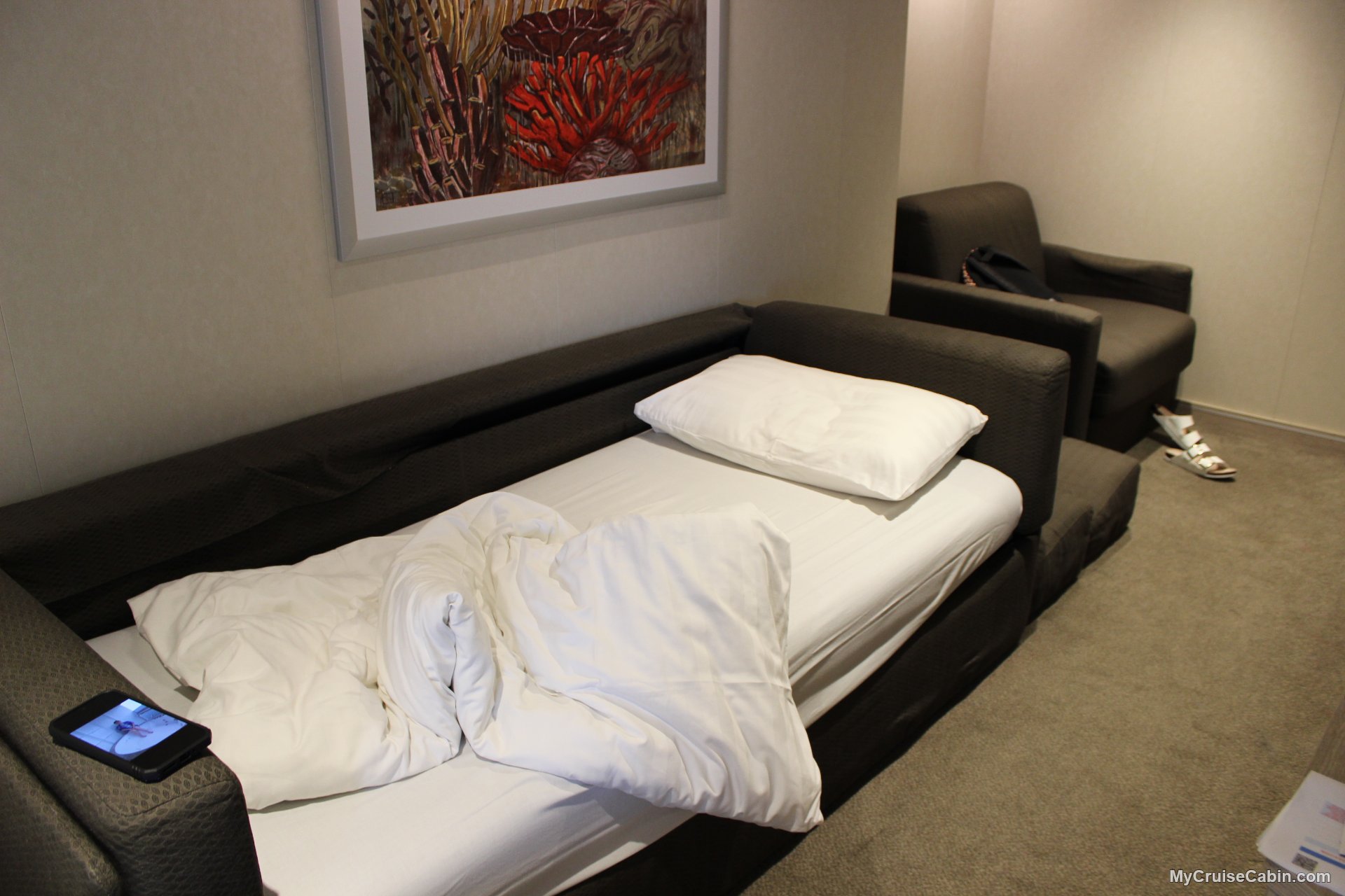 Cabin 10081 on MSC Seashore