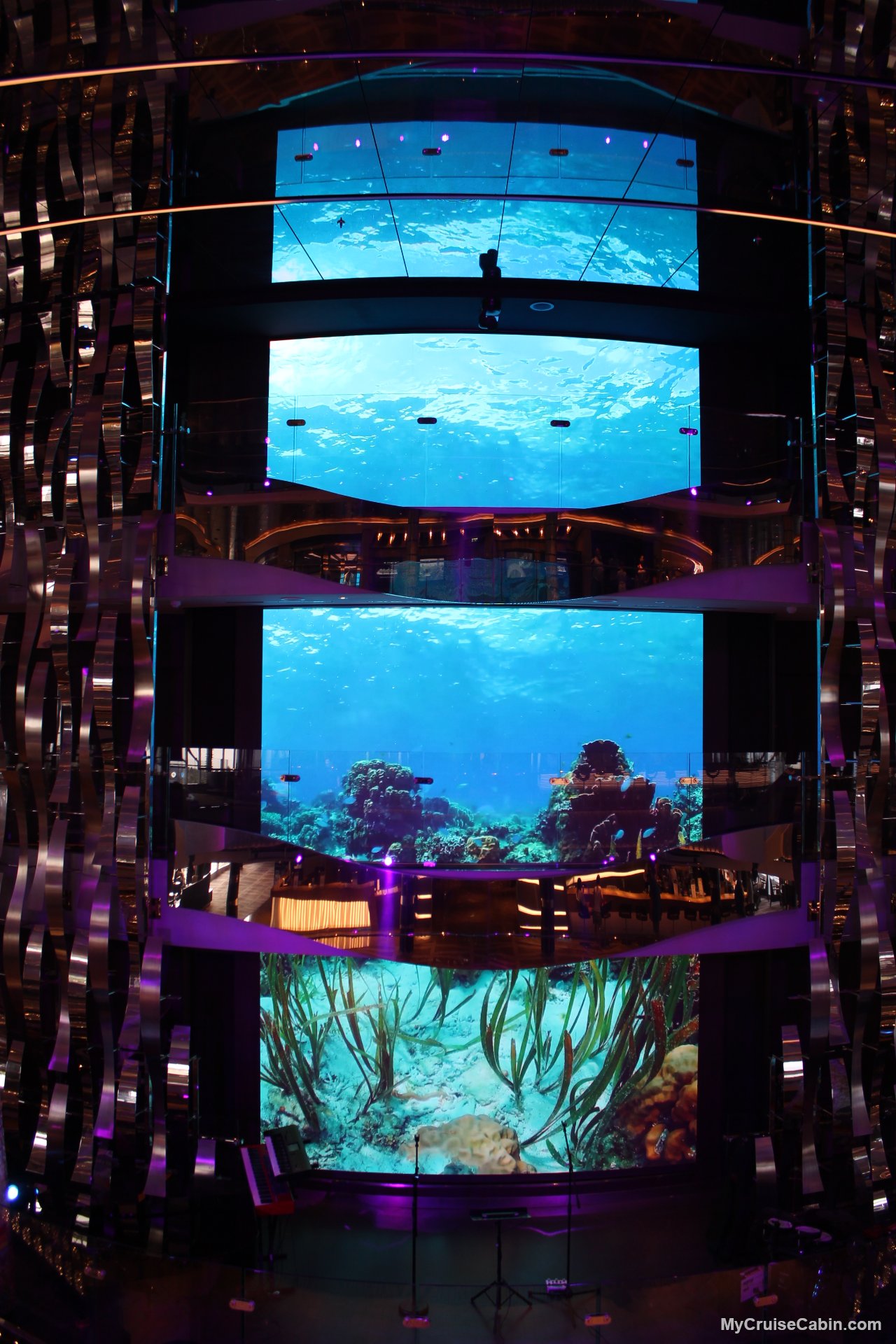 MSC Seashore main floor - Other