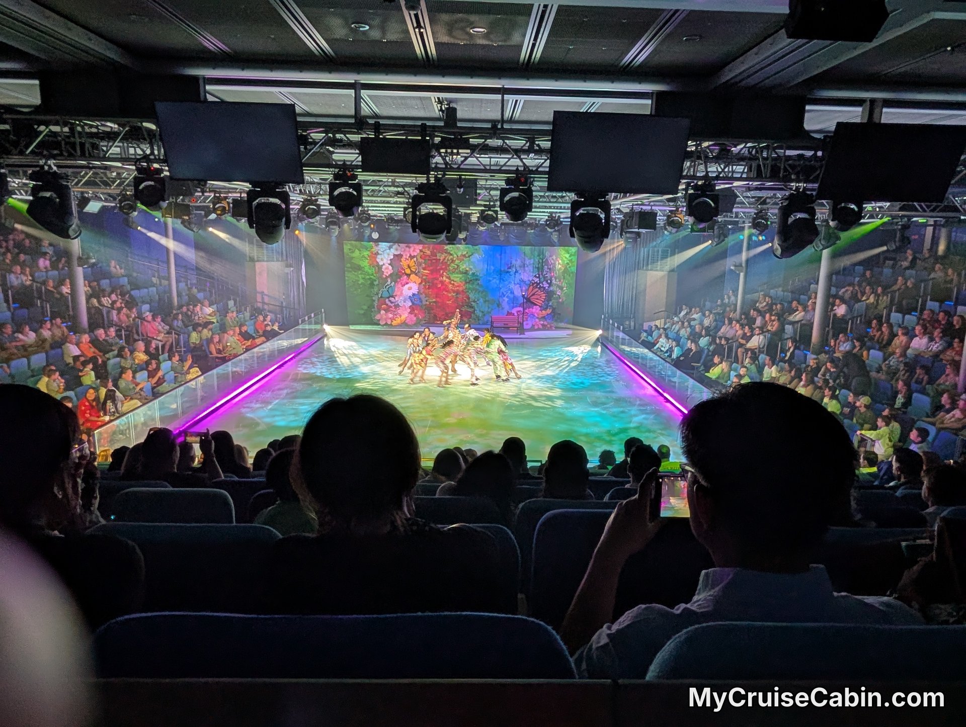 Wonder of the Seas 365 Seasons on Ice Show - Theater