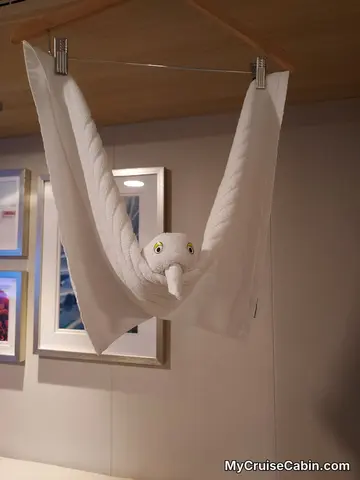 Cabin 8166 on Wonder of the Seas