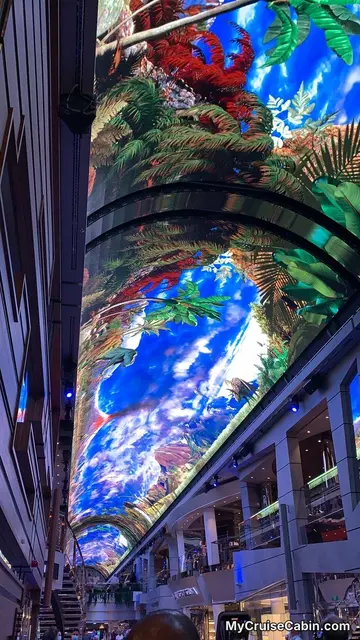 Ceiling shows