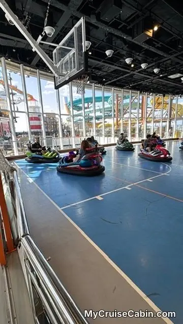 Bumper Cars