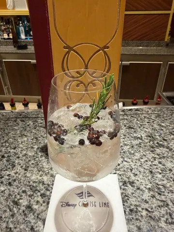 Refreshing gin and tonic -Bon Voyage bar