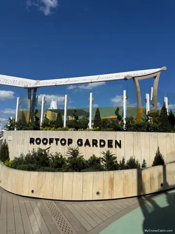 Roof top garden